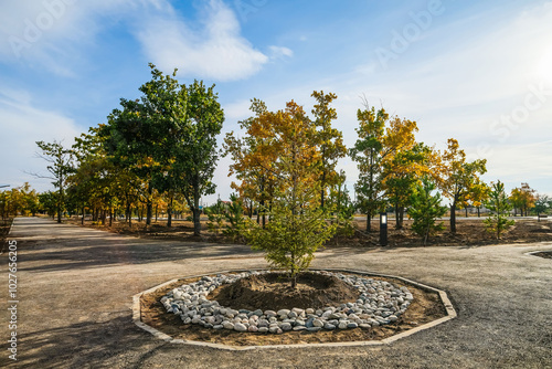 Slika na platnu Landscaping and landscaping works are underway in the city park.