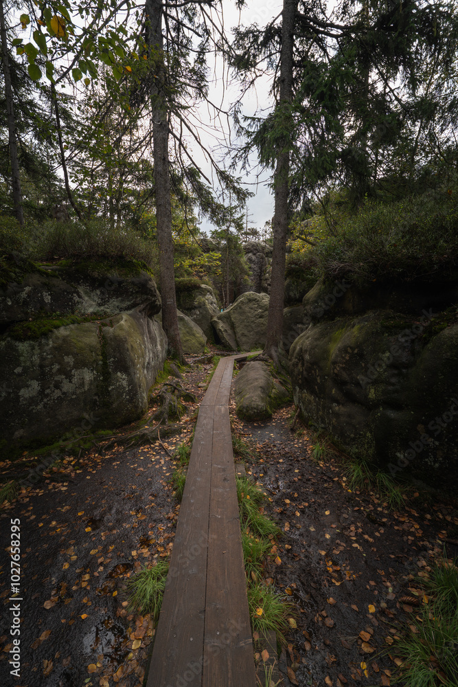 Fototapeta premium path in the rock