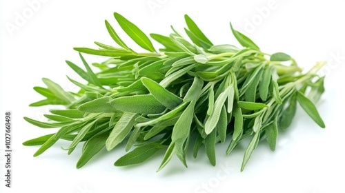 A close-up of fresh tarragon sprigs with their narrow, pointed leaves, isolated on a white background