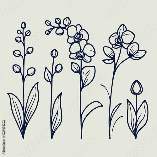 Adobe Illustrator Artwork
set of contour spring flowers orchid
line art floral, leaves
black and white illustration Phalaenopsis
set of decorative elements of plants stylized Cymbidium, Paphiopedilum