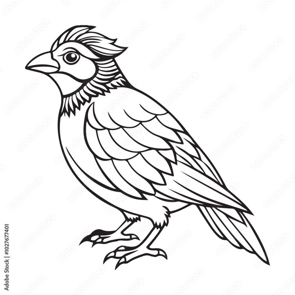 Bird Silhouette vector Graphic perfect for design projects Bird Silhouette vector Graphic perfect for design projects