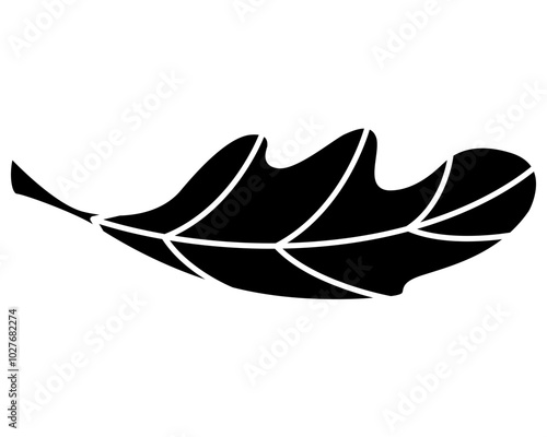 Oak leaf part of plant - vector silhouette picture for logo, pictogram or stencil. Oak leaf, plant for sign or icon