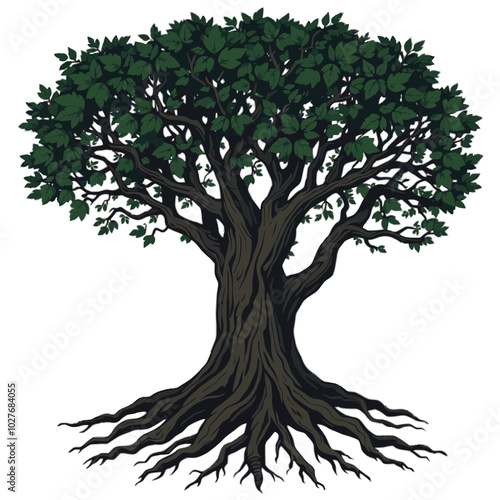 Green Tree Illustration with Exposed Roots