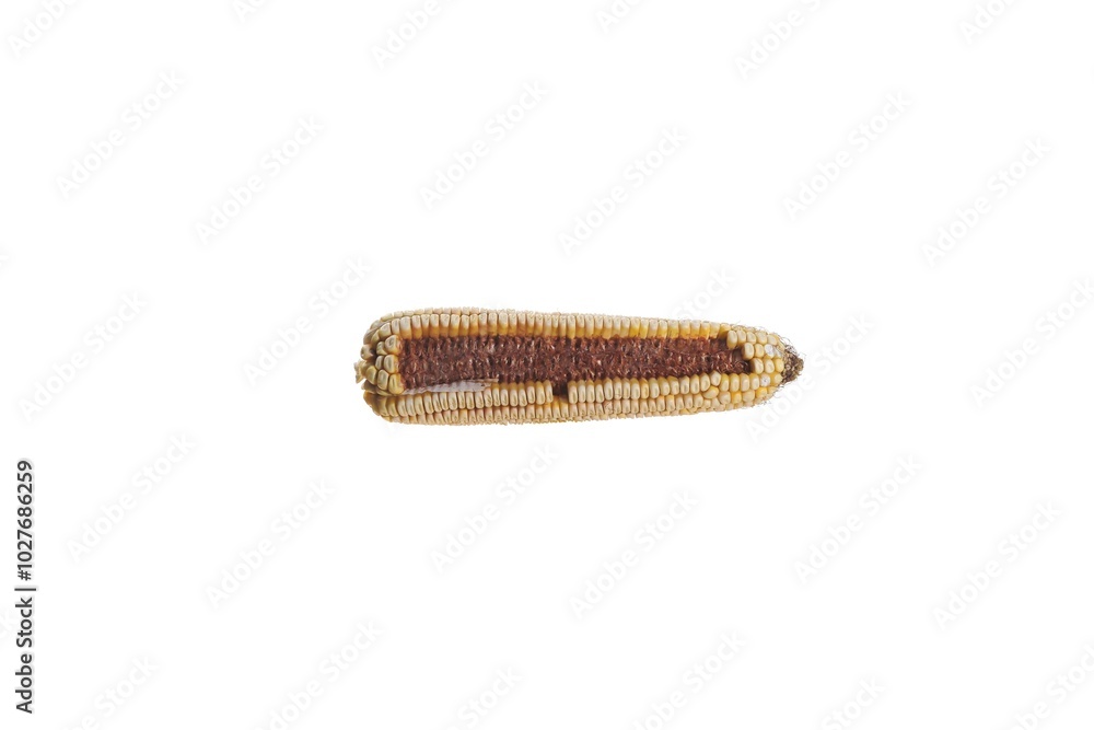 Corn cob partially without grain on a white background. Corn cob partially without grain on a white background.