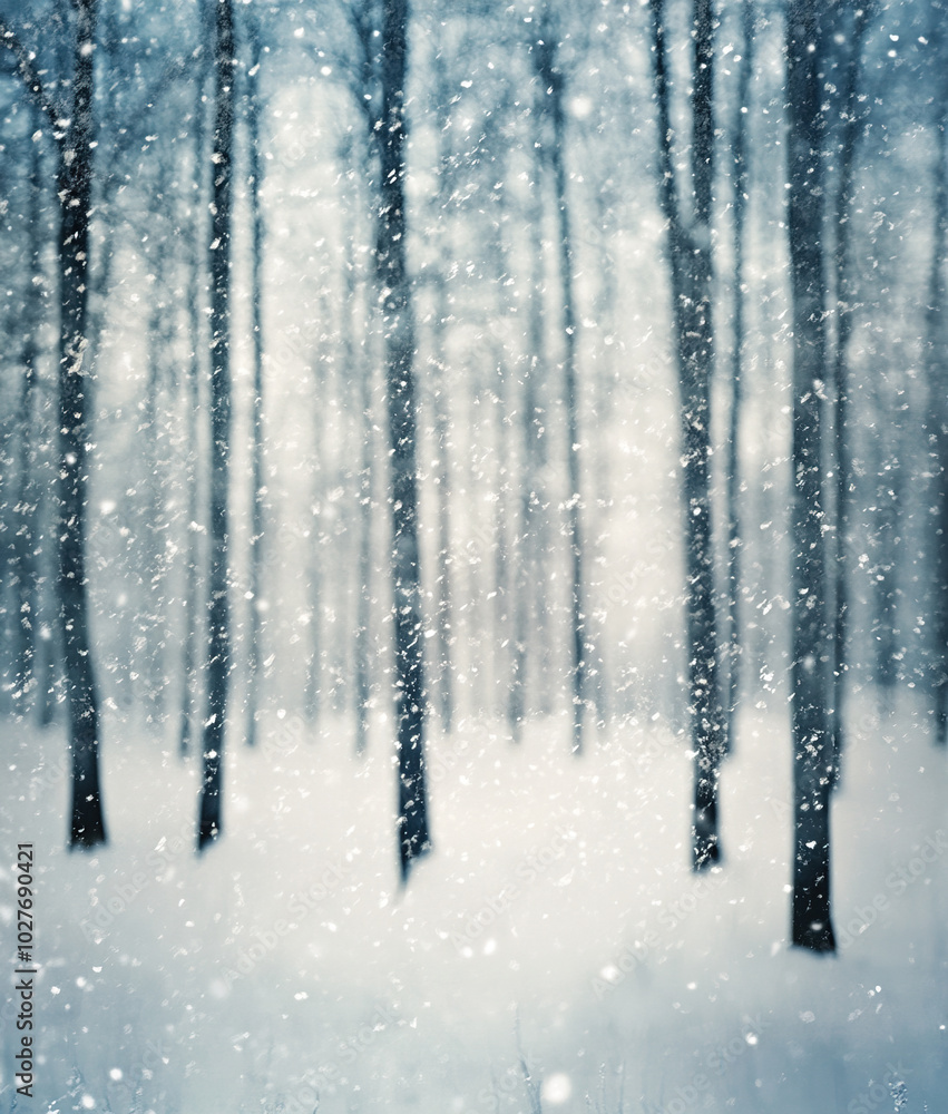 Beautiful snowy winter forest Beautiful snowy winter forest
