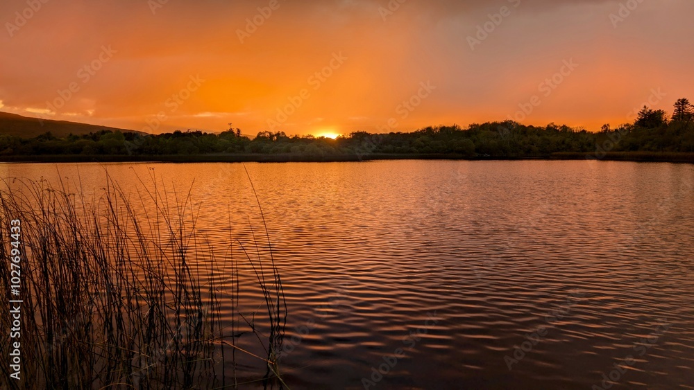 Beautiful orange sunset lakeside landscape scenery at Ross lake, Roscahill, Galway, Ireland, nature background