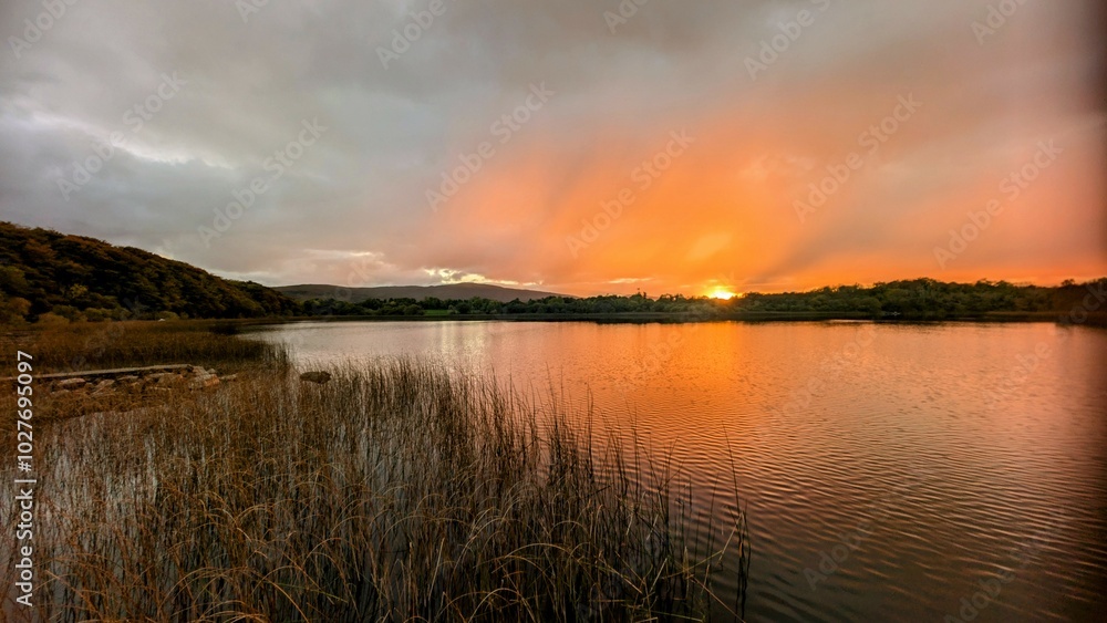 Beautiful orange sunset lakeside landscape scenery at Ross lake, Roscahill, Galway, Ireland, nature background