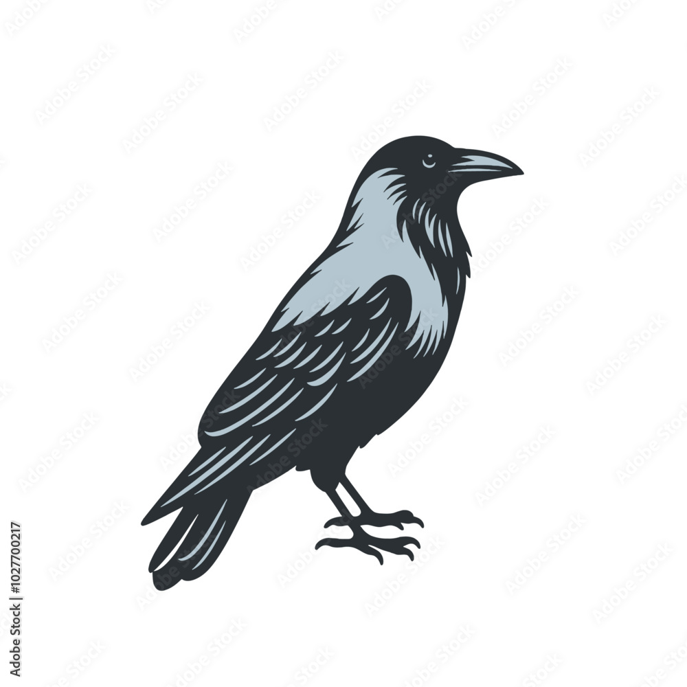Crow or raven isolated modern vector illustration Crow or raven isolated modern vector illustration