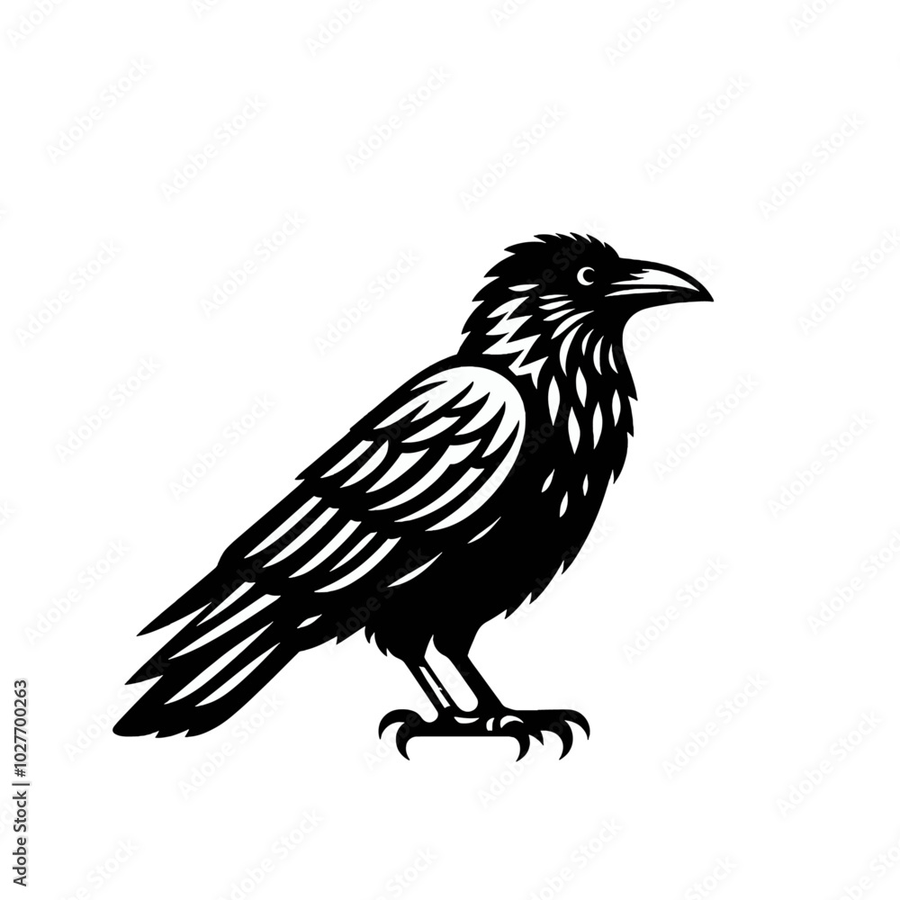 Crow or raven isolated modern vector illustration Crow or raven isolated modern vector illustration