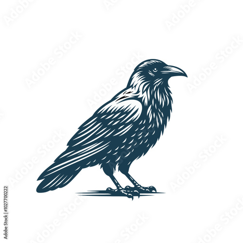 Crow or raven isolated modern vector illustration