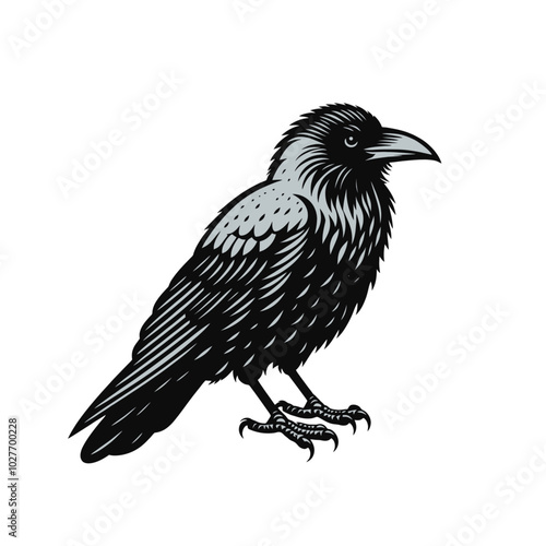 Crow or raven isolated modern vector illustration photo