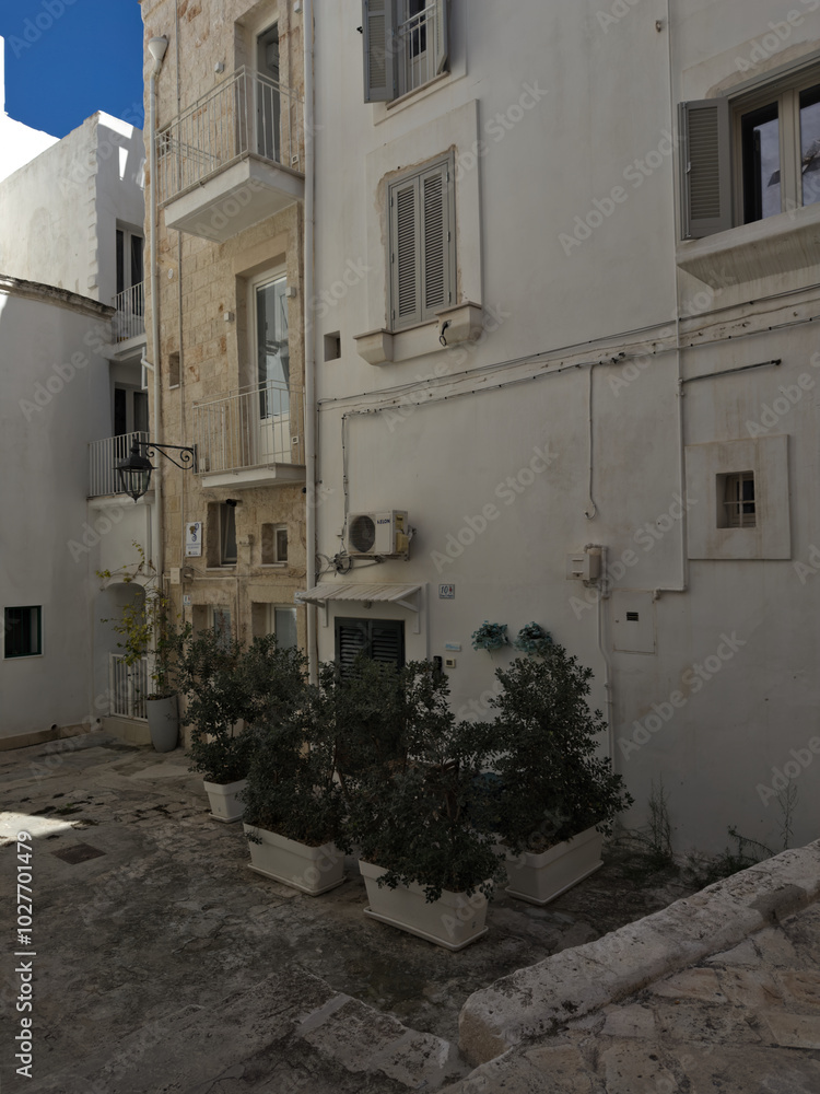 Fototapeta premium Elevation of buildings in a narrow street in the center of the old town. Bari, Italy.