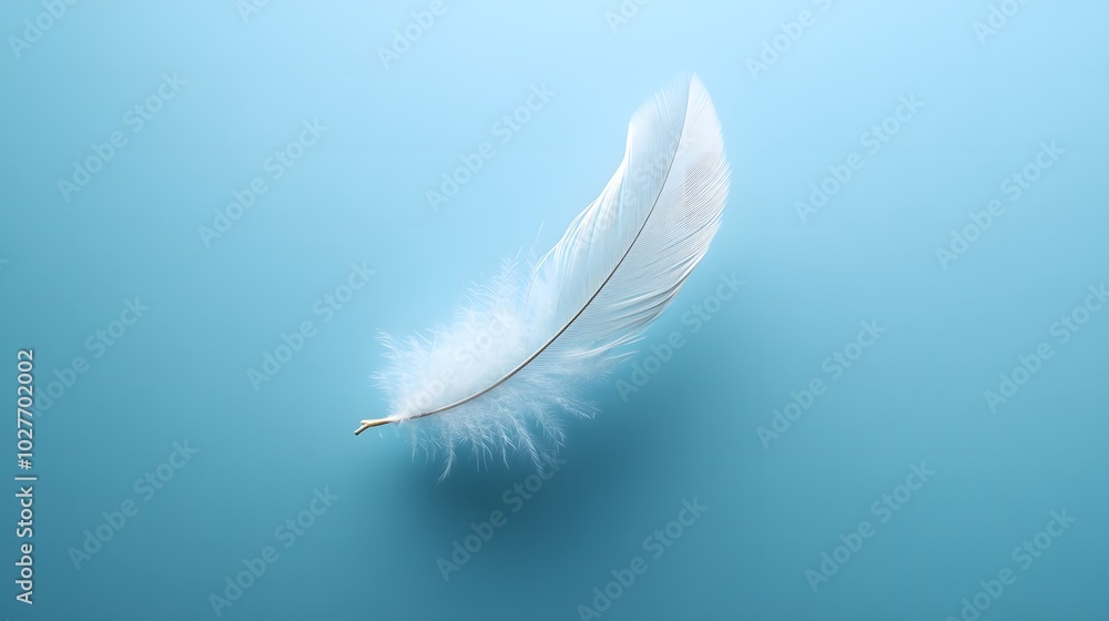 Obraz premium Single White Feather on Blue Background
