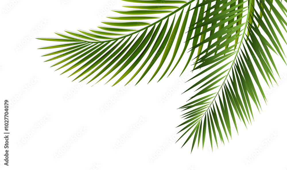 Naklejka premium Green Palm Branch Border Isolated White Background