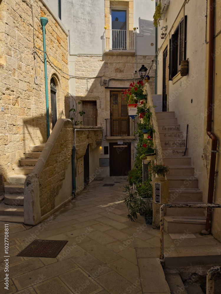 Obraz premium Narrow street in the old town center. Facade of old buildings. Puglia, Italy.