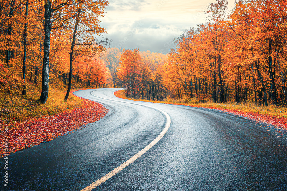 A road with trees on both sides and a yellow and orange autumnal landscape A road with trees on both sides and a yellow and orange autumnal landscape