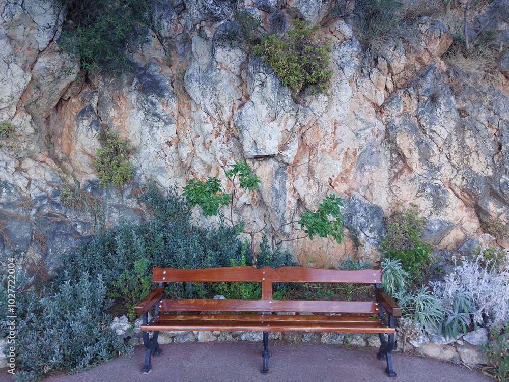 Obraz premium an empty park bench, nature