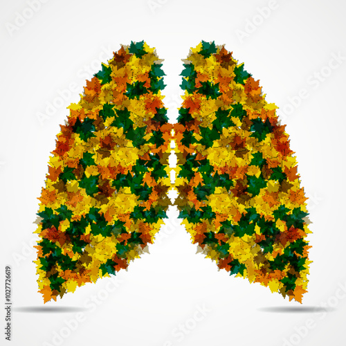 Human lungs with colorful maple leaves