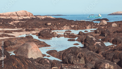 Картината върху платно Great Wass Island Tidepool Shore, Maine