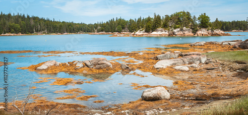 Great Wass Island Tidepool Shore, Maine