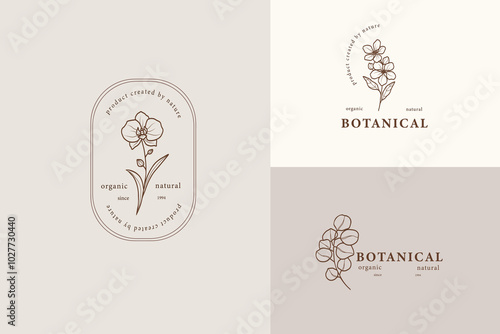 Line art botanical logotypes. Orchid, apple blossom, eucalyptus illustration