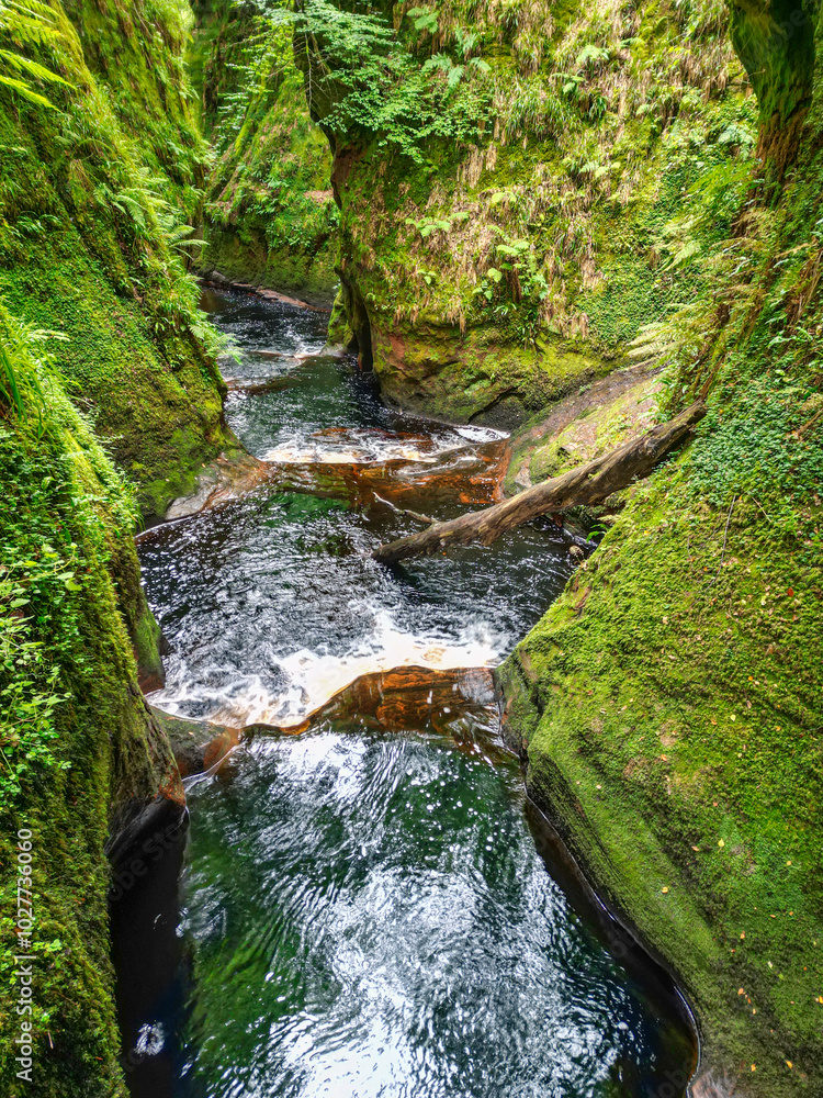 Fototapeta premium Finnich Glen and the Devil's Pulpit at the Finnich Gorge in Scotland.
