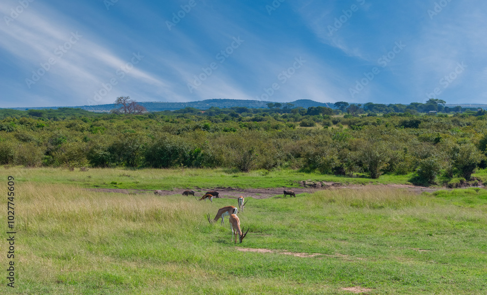 Kenya is a country in East Africa with a coastline on the Indian Ocean.