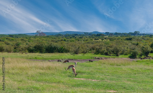 Obraz na płótnie Kenya is a country in East Africa with a coastline on the Indian Ocean. w salonie