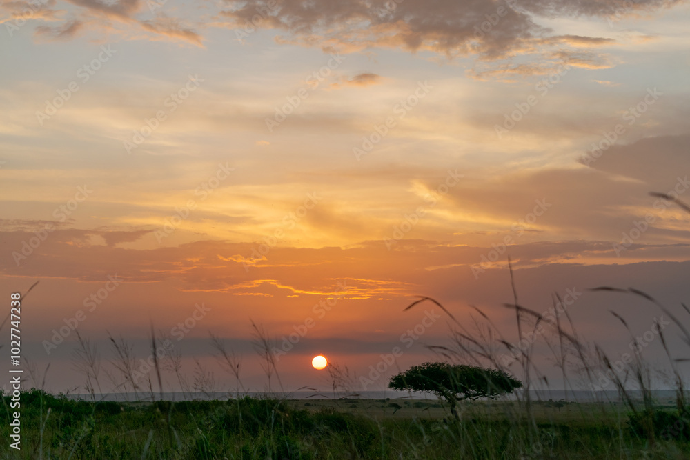 Kenya is a country in East Africa with a coastline on the Indian Ocean. Kenya is a country in East Africa with a coastline on the Indian Ocean.