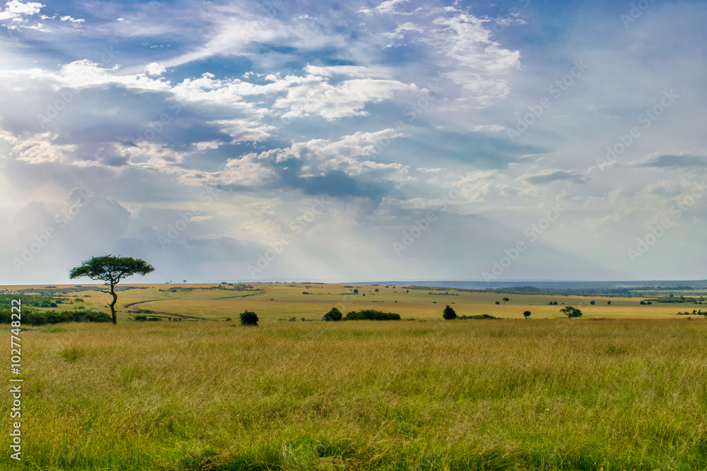 Kenya is a country in East Africa with a coastline on the Indian Ocean.