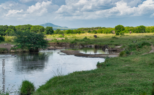 Kenya is a country in East Africa with a coastline on the Indian Ocean.