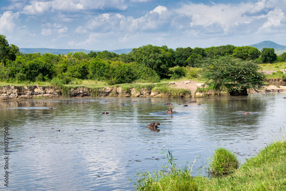Kenya is a country in East Africa with a coastline on the Indian Ocean. Kenya is a country in East Africa with a coastline on the Indian Ocean.