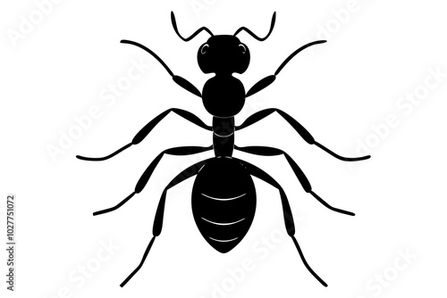 Ant silhouette vector | vector silhouette illustration on white background