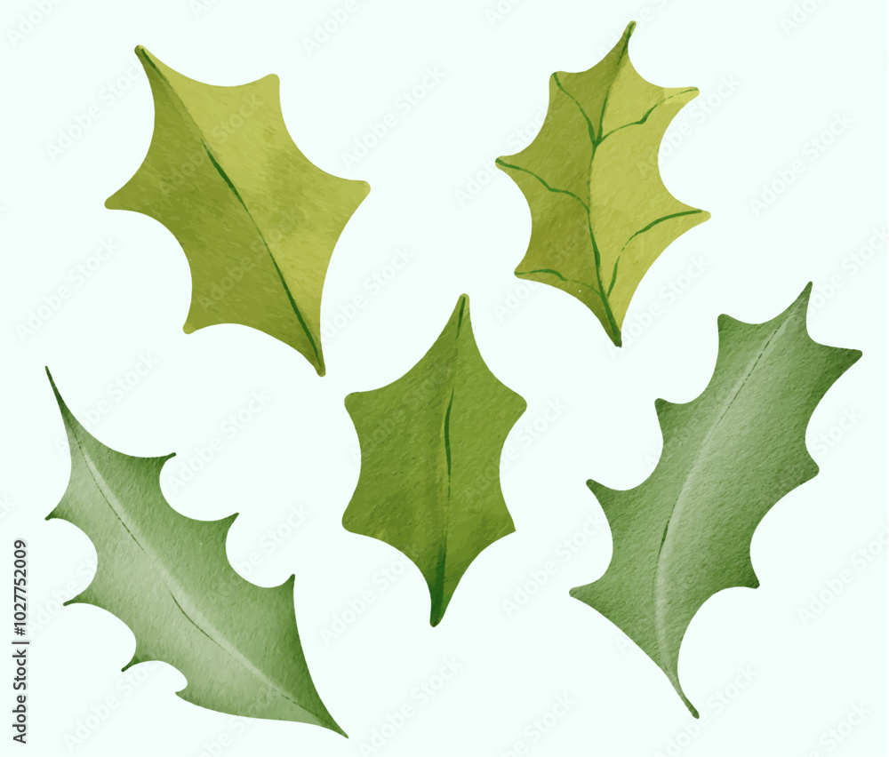 Fototapeta premium holly berry leaf collection