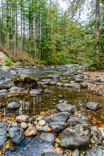 Wallpaper Mural Northewest River Rocks 6 Torontodigital.ca