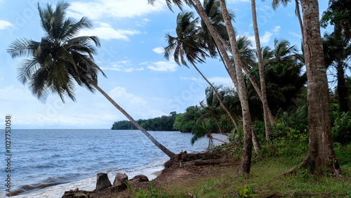 Quiet lagoon on tropical green island. Coconut palms on sandy coast of the Atlantic Ocean.