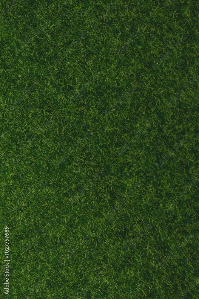 Green lawn background. Green grass. Green lawn background. Green grass.