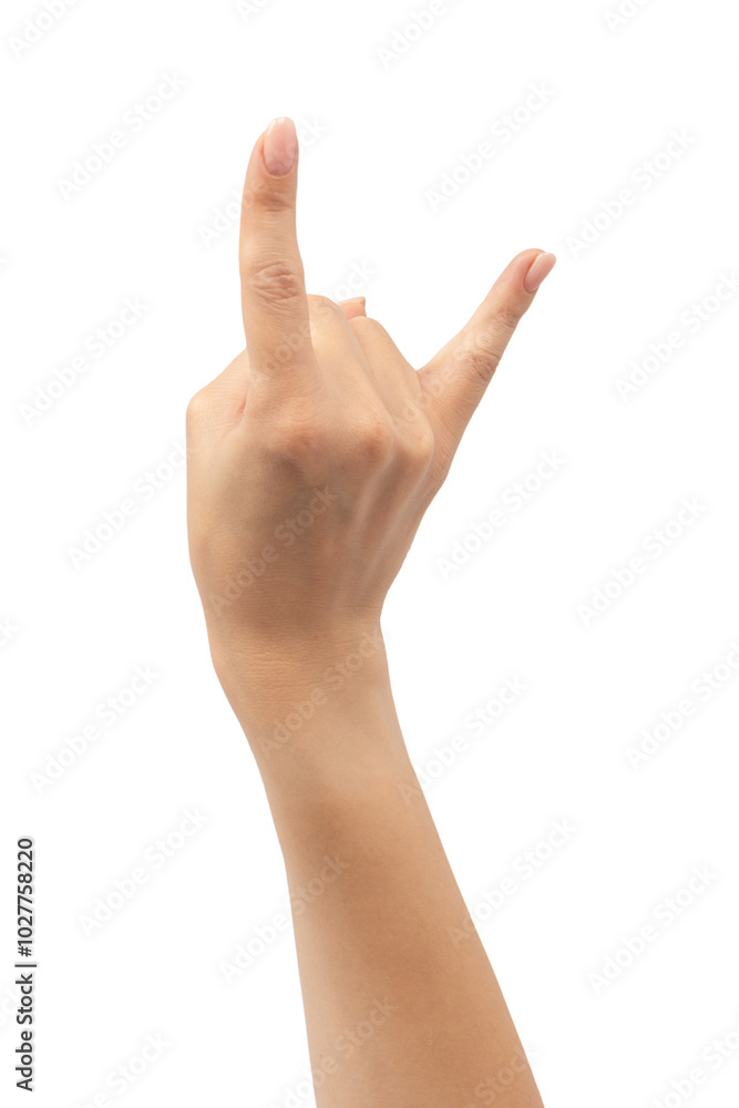 Woman hands with nude manicure isolated on a white background. Woman hands with nude manicure isolated on a white background.