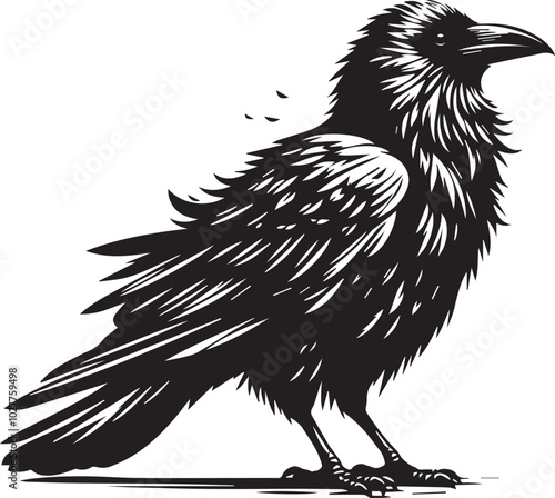 Black Crow Bird Silhouette isolated on a white background Minimalist crow vector illustration photo