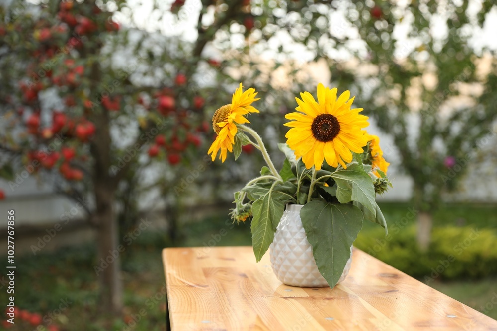 Fototapeta premium Vase with sunflowers on wooden table in garden
