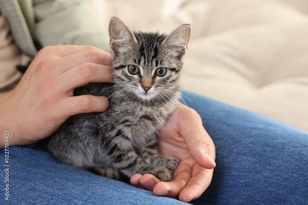Man with cute kitten at home, closeup Man with cute kitten at home, closeup