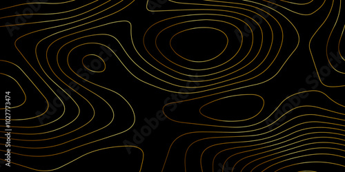 Abstract wave paper curved reliefs background .gradient multicolor wave curve lines banner background design .topographic contours map background .Vector geographic contour map.	