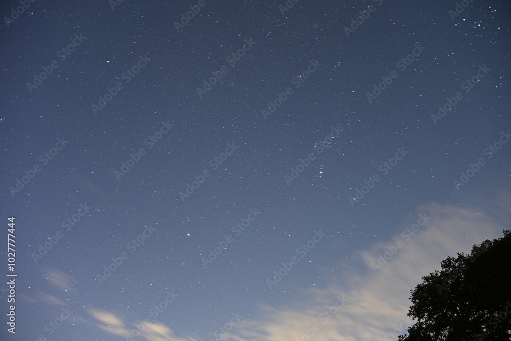 Naklejka premium starry night sky