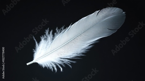 White feather softly glowing against a pitch-black background, emphasizing its delicate beauty