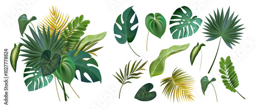 Palm leaf. Jungle coconut tree, vintage summer banana or fern, green exotic monstera. Hawaii beach label. Isolated tropical rainforest elements and composition for poster or card. Vector set