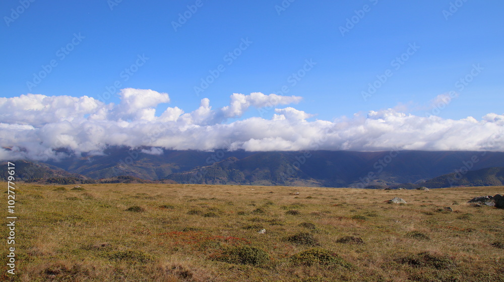 Obraz premium landscape with clouds