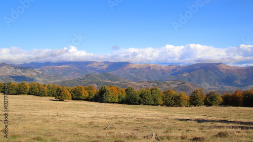 autumn landscape in the mountains