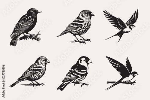 Creative Bird line art Vector Art Illustration photo