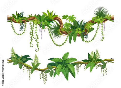 Lianas of tropical jungle forest, or ivy vine branches with monstera leaves, vector border frames. Cartoon tropical rainforest creeping plants or jungle liana and bindweed tree with climbing tendrils