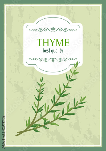 Herbal leaves icons. Green thyme twig. Organic culinary herb. Greengrocery label. Plant bunch. Natural garden crop. Aromatic spice. Vegetarian ingredient. Vector marketing banner design